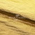Текстильный материал "Диско"#1805 с покрытием РЕТ, 40гр/м2, 100% полиэстер, цв.5-золото - купить в Шахтах. Цена 412.36 руб.