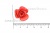 Украшение "Розы малые №1" 20мм - купить в Шахтах. Цена: 32.49 руб.