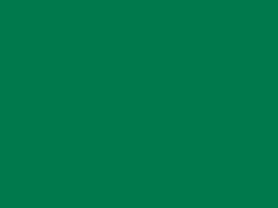 85 см № 258 яр. зеленый спираль (G) сорт-2 - купить в Шахтах. Цена: 16.97 руб.