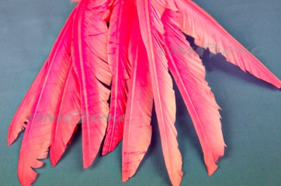Декоративный Пучок из перьев, перо 25см/розовый - купить в Шахтах. Цена: 14.40 руб.