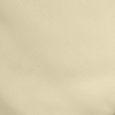 Ткань подкладочная Таффета 14-1014, антист., 53 гр/м2, шир.150см, цвет бежевый - купить в Шахтах. Цена 62.37 руб.