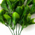 Трава искусственная -1, шт (эвкалипт лист 32 см/8 см)				 - купить в Шахтах. Цена: 169.93 руб.