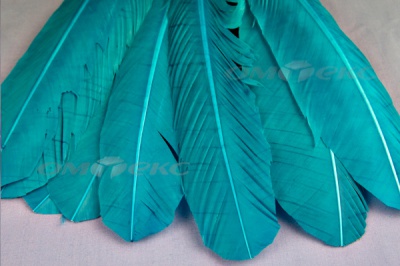 Декоративный Пучок из перьев, перо 24см/голубой - купить в Шахтах. Цена: 12.19 руб.