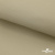 Ткань подкладочная TWILL 230T 14-1108, беж светлый 100% полиэстер,66 г/м2, шир.150 cм - купить в Шахтах. Цена 90.59 руб.