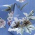 Плательная ткань "Фламенко" 12.1, 80 гр/м2, шир.150 см, принт растительный - купить в Шахтах. Цена 241.49 руб.