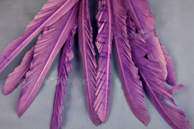 Декоративный Пучок из перьев, перо 25см/фиолетовый - купить в Шахтах. Цена: 12.19 руб.