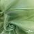 Ткань органза, 100% полиэстр, 28г/м2, шир. 150 см, цв. #27 зеленый - купить в Шахтах. Цена 86.24 руб.
