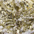Трикотажное полотно, Сетка с пайетками, шир.130 см, #315, цв.-белый/золото - купить в Шахтах. Цена 693.39 руб.