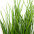 Трава искусственная -4, шт  (осока 50 см/8 см  7 листов)				 - купить в Шахтах. Цена: 130.73 руб.