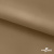 Ткань подкладочная Таффета 17-1327, антист., 54 гр/м2, шир.150см, цвет св.коричневый - купить в Шахтах. Цена 65.53 руб.