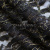 Кружевное полотно XD LACE 1-4, 80 гр/м2, шир.150см, цвет чёрный - купить в Шахтах. Цена 245.94 руб.